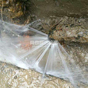 皂市镇消防管道漏水检测